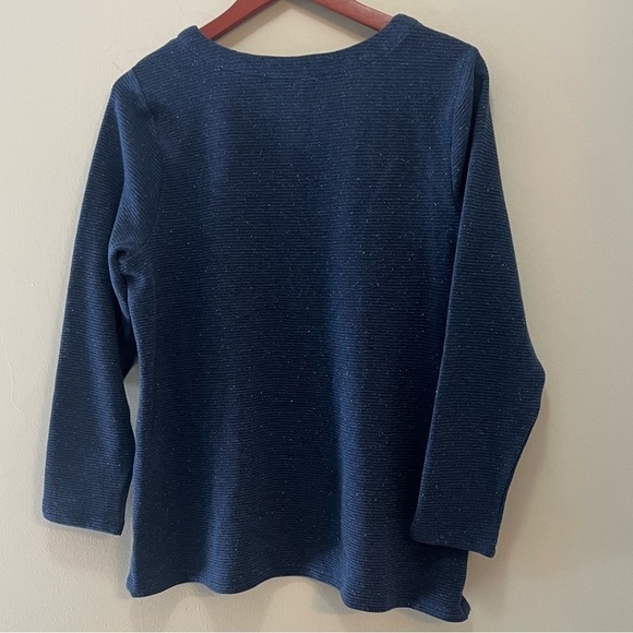 JJill V-Neck Sweater Long Sleeve Oversized Blue Ribbed sweatshirt Womens LP - Picture 3 of 9